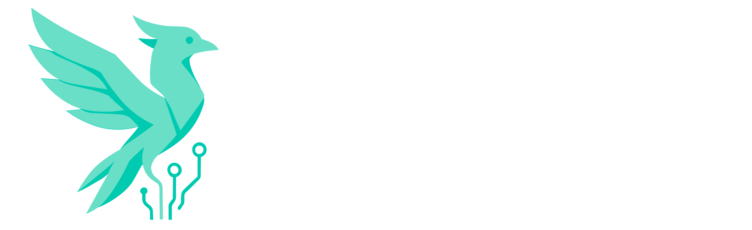 BGB Formation